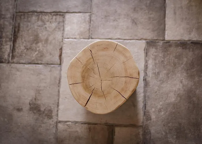 아파트 Vathisthea 키트노스