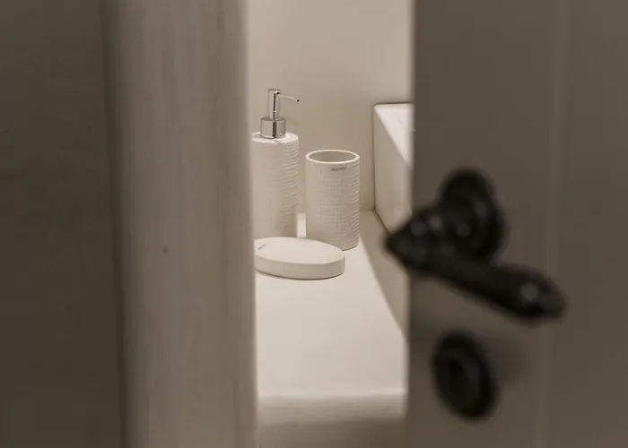 公寓 Vathisthea 基斯诺斯